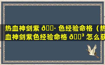 热血神剑紫 🕷 色经验命格（热血神剑紫色经验命格 🐳 怎么获得）